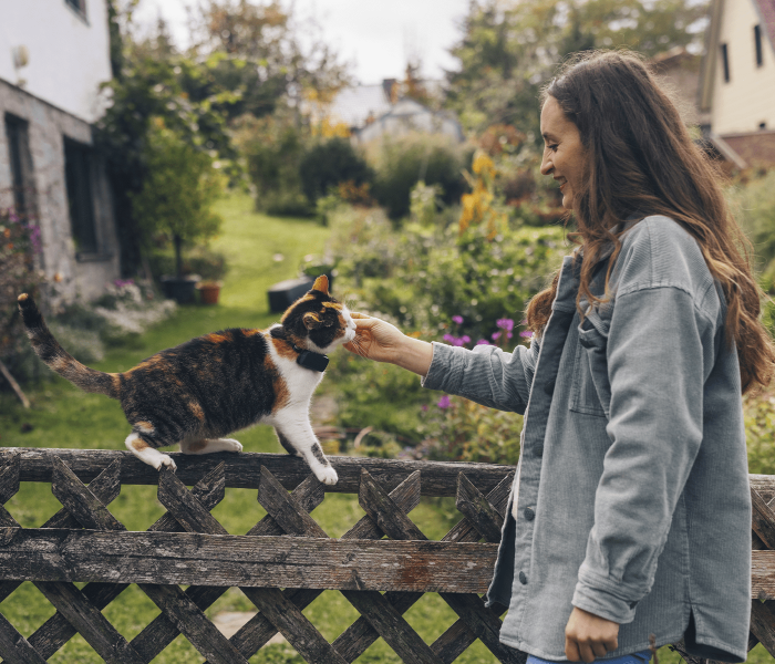 Tractive CAT Mini