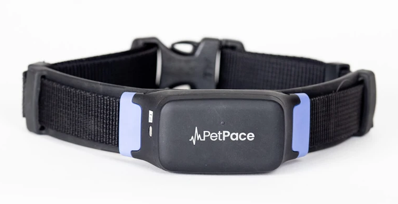 PetPace Smart Collar 2.0