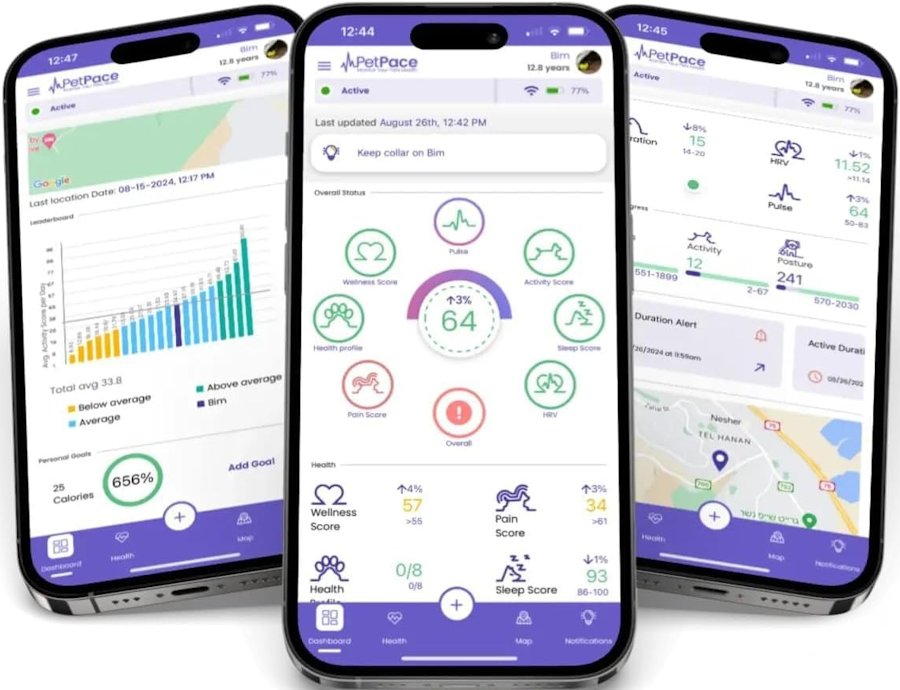 PetPace App