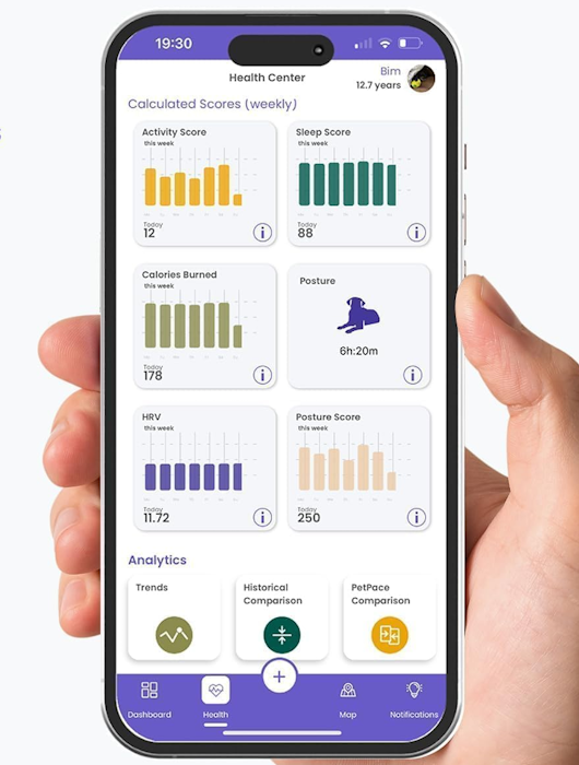 PetPace App