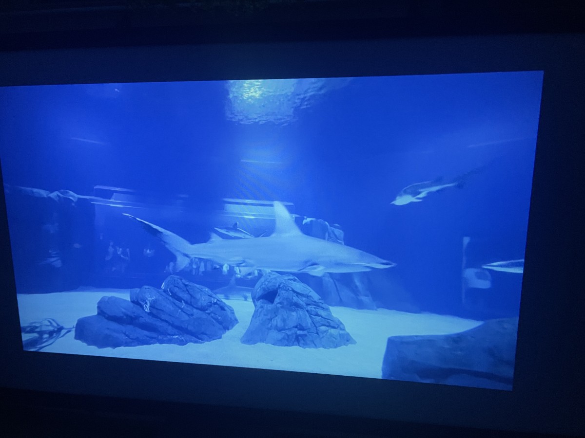 Dangbei N1 Mini Projector 19