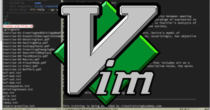 10 Best Text Editors for Mac in 2024 8 VIM Text Editor